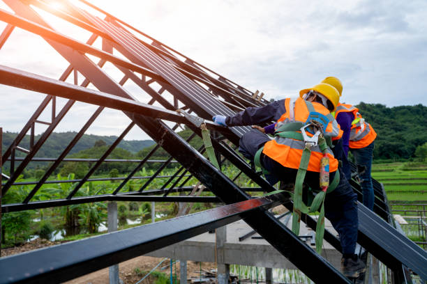 Best Roof Waterproofing Services  in Lake Holiday, IL