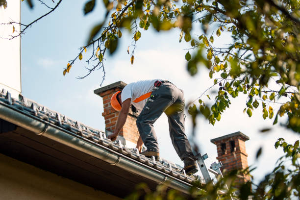 Best Roof Leak Repair  in Lake Holiday, IL