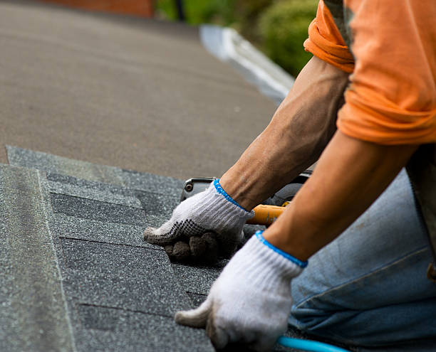 Best Residential Roofing Contractor  in Lake Holiday, IL