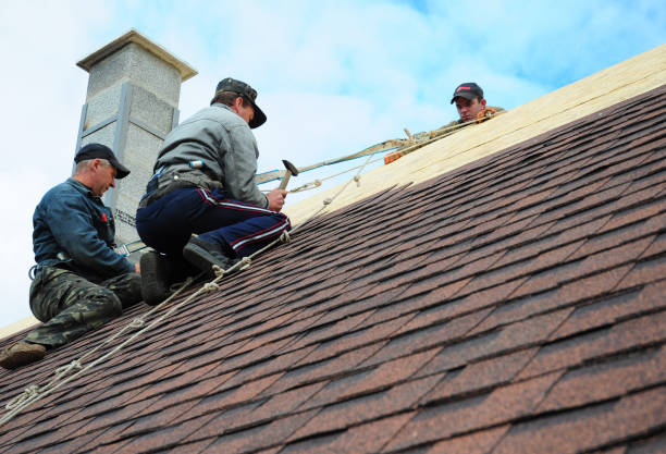 Trusted Lake Holiday, IL Roofing Contractor Experts