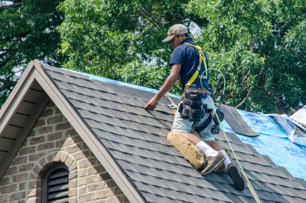 Best New Roof Installation  in Lake Holiday, IL
